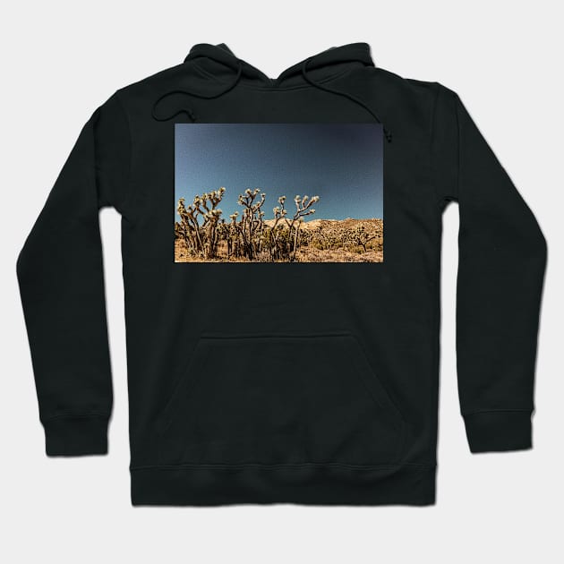 Joshua Tree National Park, California Hoodie by Gestalt Imagery